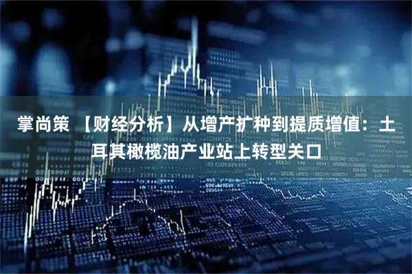 掌尚策 【财经分析】从增产扩种到提质增值：土耳其橄榄油产业站上转型关口