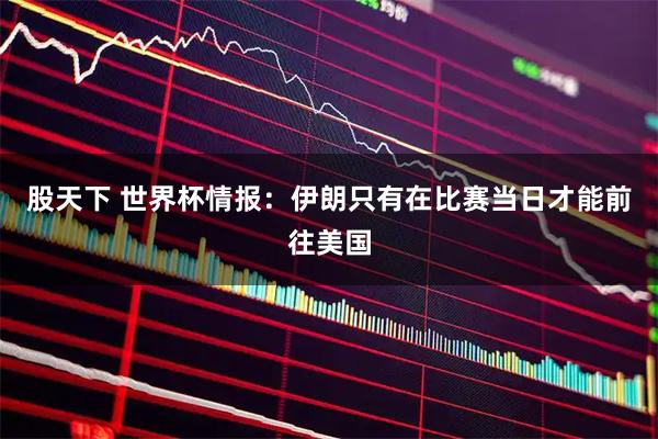 股天下 世界杯情报：伊朗只有在比赛当日才能前往美国